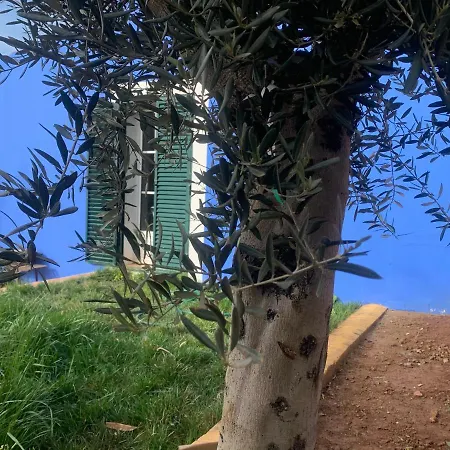 Séjour à la campagne Casa Dos Mangues