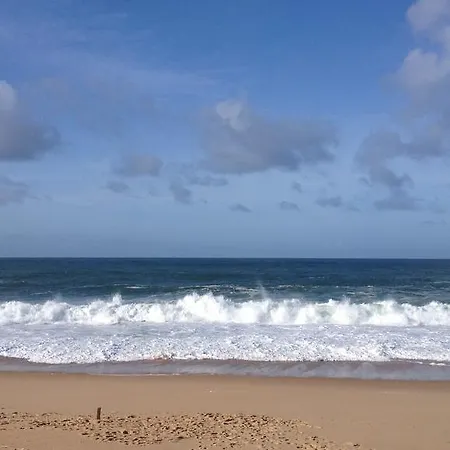 Casa Dos Mangues 컨트리하우스 상 마르티뇨 두 포르투