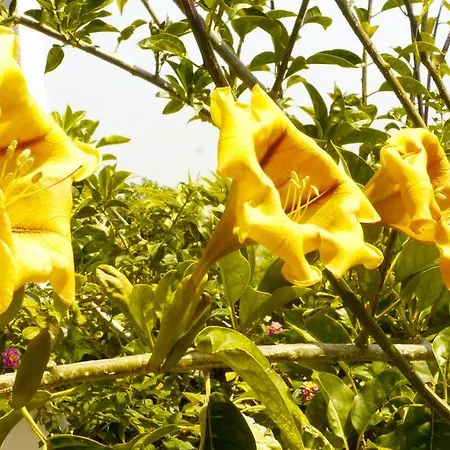 Casa Dos Mangues 컨트리하우스