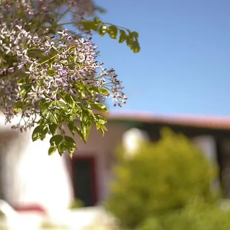 Casa Dos Mangues 상 마르티뇨 두 포르투