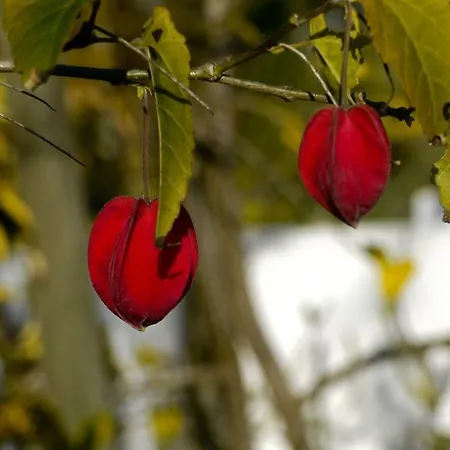 Casa Dos Mangues 컨트리하우스 상 마르티뇨 두 포르투