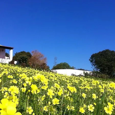 Séjour à la campagne Casa Dos Mangues São Martinho do Porto