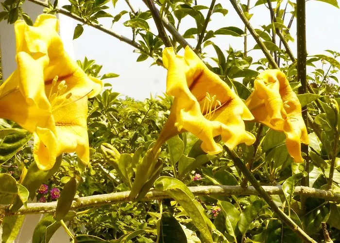 Casa Dos Mangues Venkovský dům