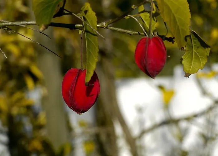 Casa Dos Mangues Venkovský dům São Martinho do Porto