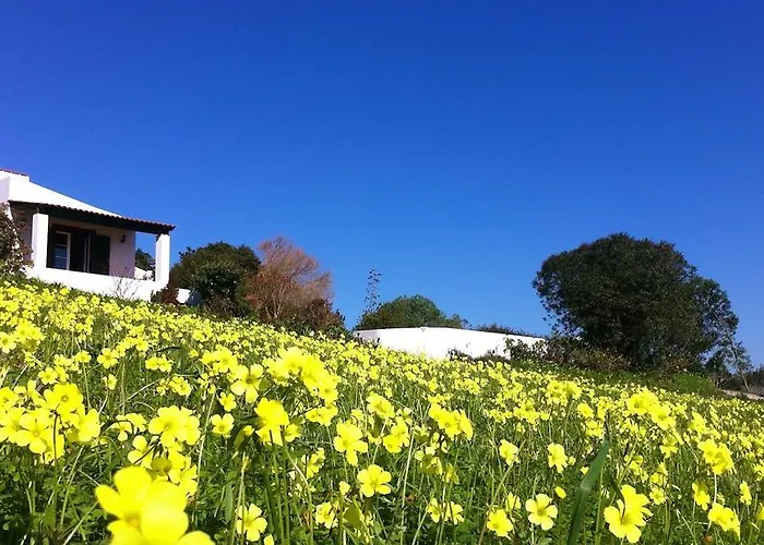 Venkovský dům Casa Dos Mangues São Martinho do Porto